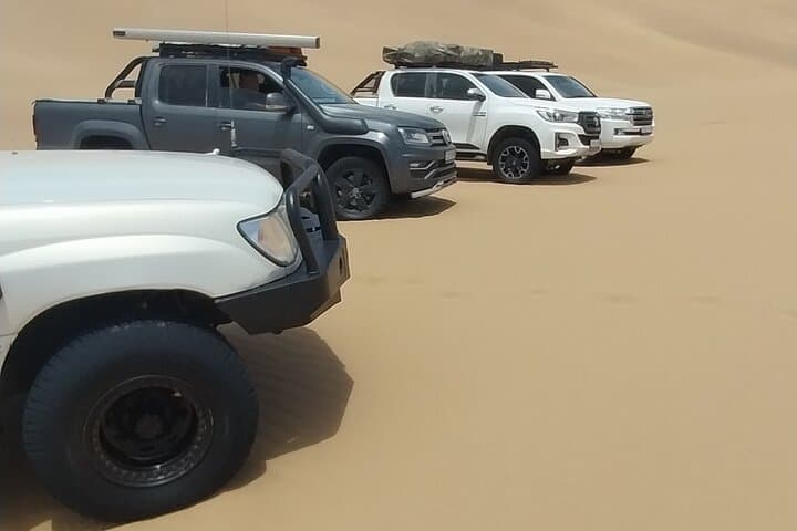 Master the Dunes: A Guided 4WD Self-Drive Adventure in Sandwich Harbor photo 3