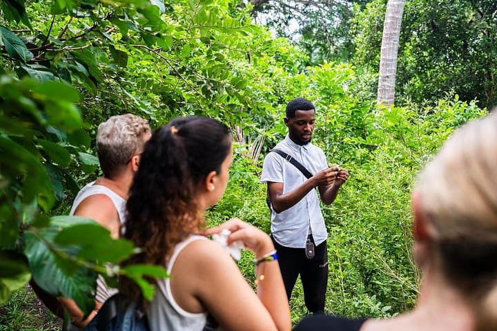 Prison Island & Jozani Forest: Zanzibar Day Tour to Tortoises and Red Colobus photo 4
