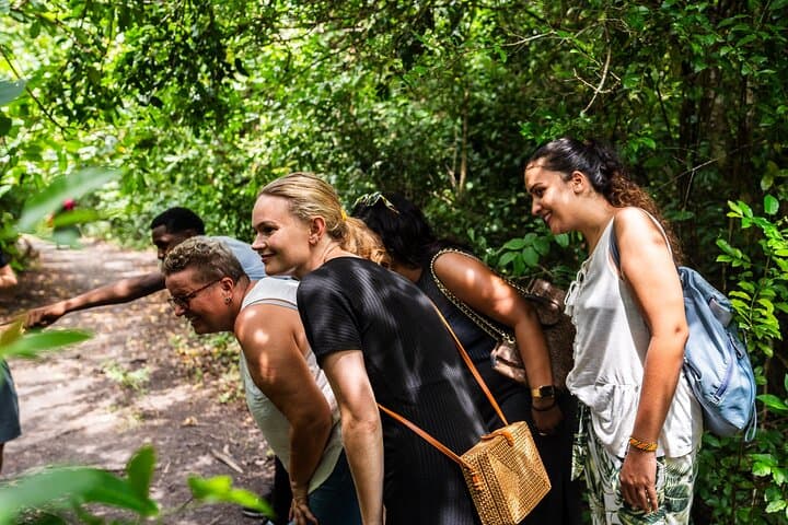 Prison Island & Jozani Forest: Zanzibar Day Tour to Tortoises and Red Colobus photo 1