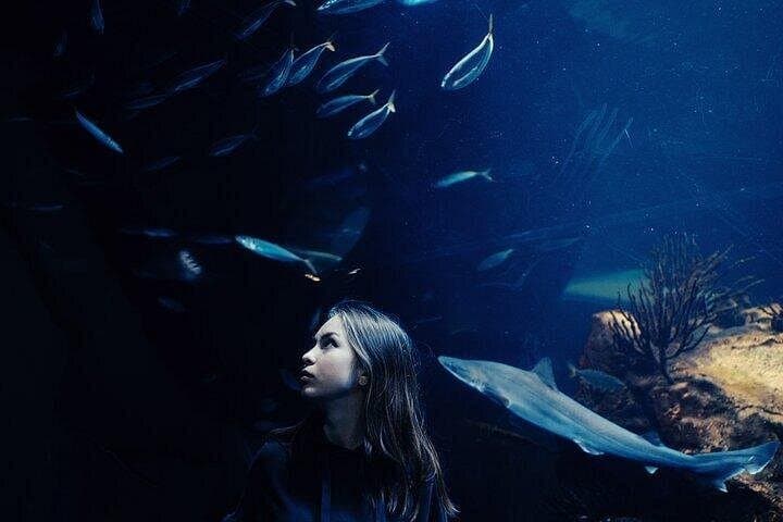 Burj Khalifa & Dubai Aquarium Combo: Skip-the-Line Views and Underwater Wonders photo 3