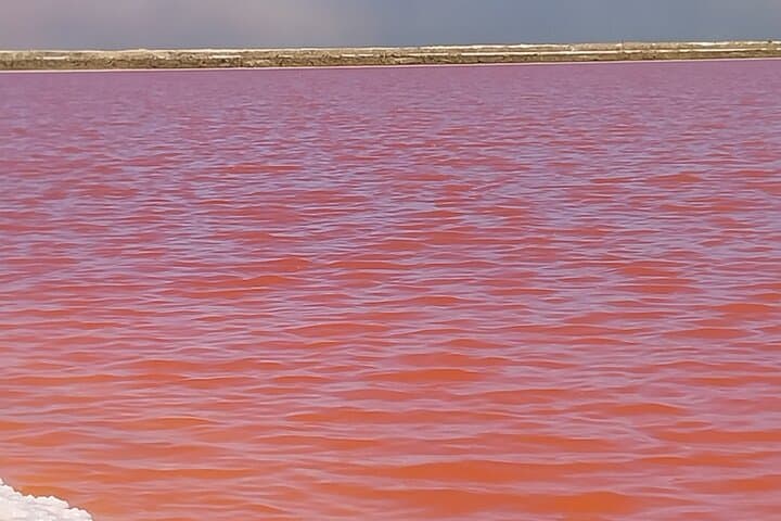 Seal Kayaking at Pelican Point — Walvis Bay Wildlife Paddle & Salt Pan Views photo 3