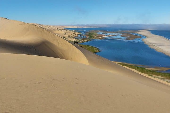 Seal Kayaking at Pelican Point — Walvis Bay Wildlife Paddle & Salt Pan Views photo 4