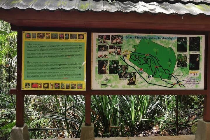 Kinabalu Park & Poring Hot Springs Private Day Tour — Explore Sabah’s Highlands photo 4