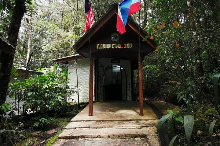 Kinabalu Park & Poring Hot Springs Private Day Tour — Explore Sabah’s Highlands photo 5