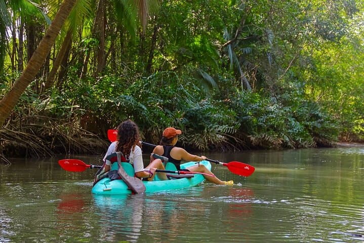 Manuel Antonio Mangrove Kayak Tour — Paddle Through Quepos Estuary
