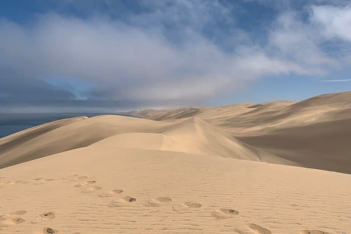 Master the Dunes: A Guided 4WD Self-Drive Adventure in Sandwich Harbor photo 6