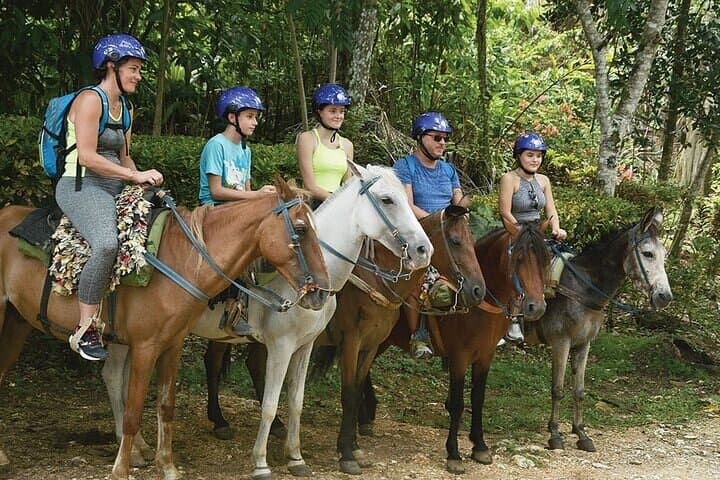 Day Trip from Punta Cana to El Limón Waterfall & Cayo Levantado (Bacardi Island) photo 4