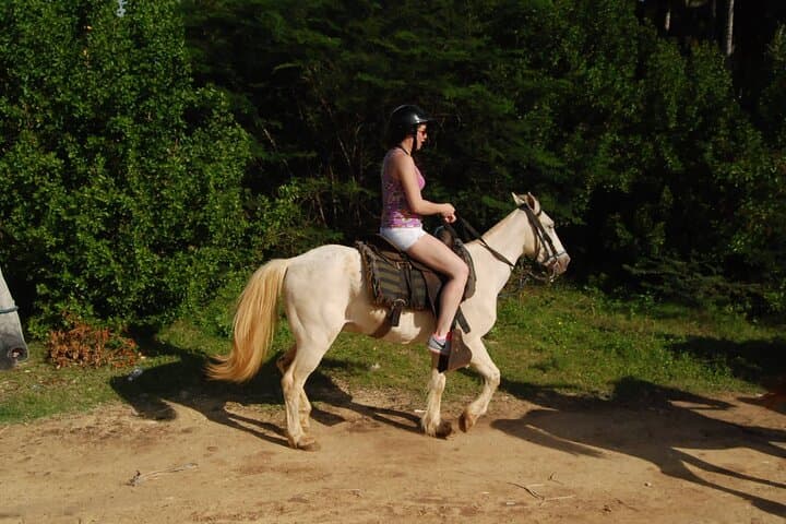 Punta Cana Horseback Riding at Macao Beach — Sunset Coastal Ride photo 4