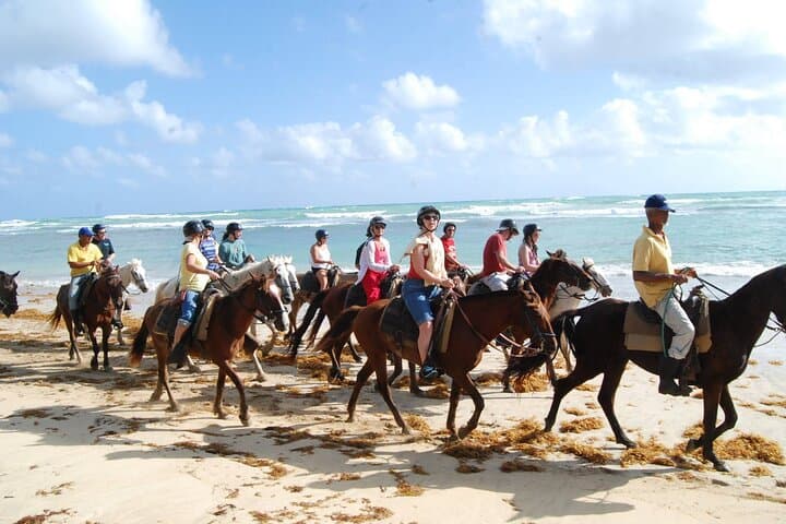 Punta Cana Horseback Riding at Macao Beach — Sunset Coastal Ride photo 2
