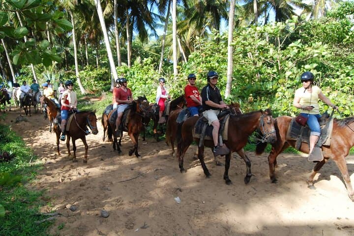 Punta Cana Horseback Riding at Macao Beach — Sunset Coastal Ride photo 3