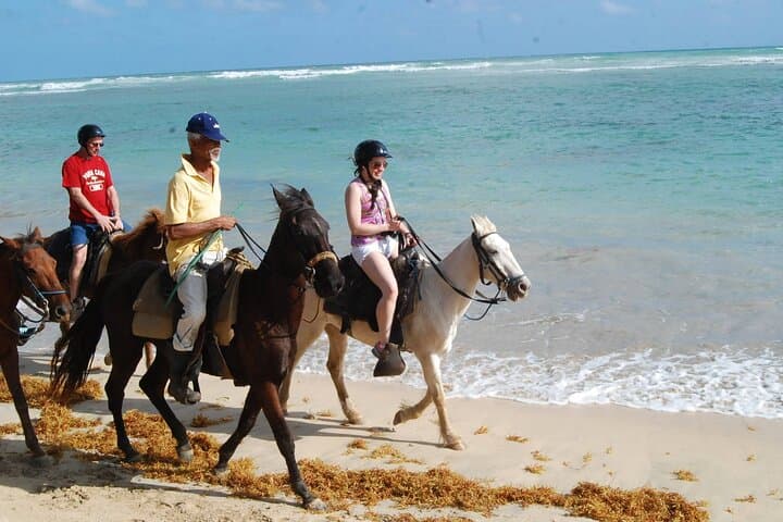 Punta Cana Horseback Riding at Macao Beach — Sunset Coastal Ride photo 5