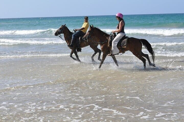 Punta Cana Horseback Riding at Macao Beach — Sunset Coastal Ride