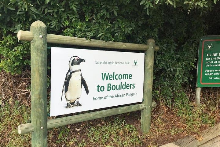 Cape Point & Boulders Beach: Private Day Tour to Penguins and Coastal Vistas photo 1
