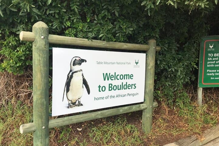 Coastal Icons of Cape Town: Table Mountain, Cape of Good Hope & African Penguins Day Tour photo 3
