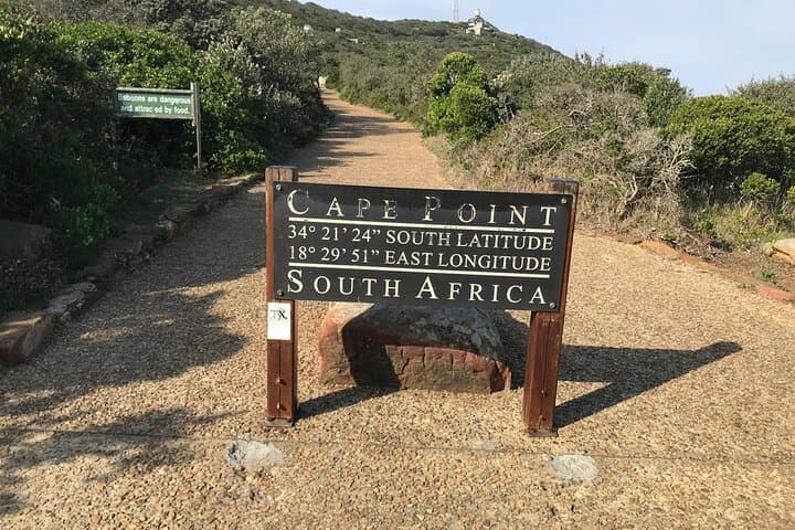 Full-Day Cape Point, Table Mountain & Boulders Beach Penguin Tour from Cape Town photo 2