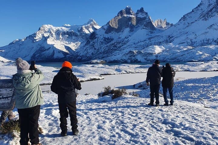 Full-Day Torres del Paine & Cueva del Milodón: Glacier Views, Waterfalls & Wildlife photo 5