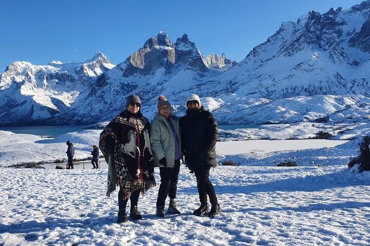 Full-Day Torres del Paine & Cueva del Milodón: Glacier Views, Waterfalls & Wildlife photo 6