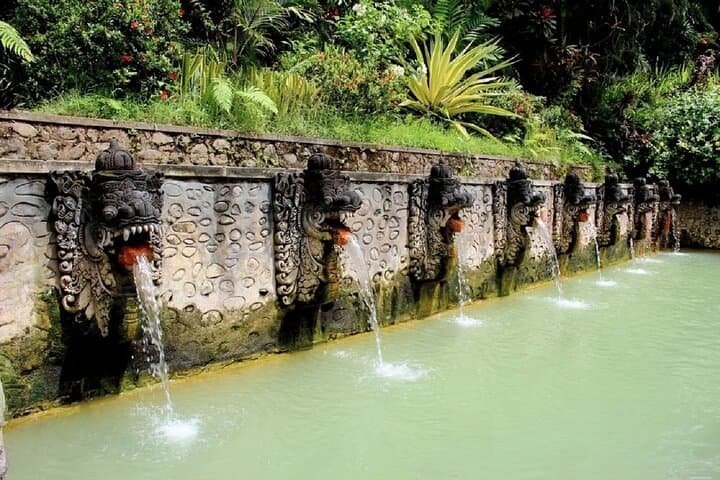Private Ubud Day Tour: Customizable Culture, Rice Terraces & Waterfalls photo 3