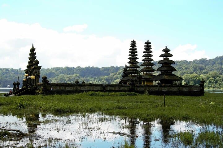 Private Ubud Day Tour: Customizable Culture, Rice Terraces & Waterfalls photo 4
