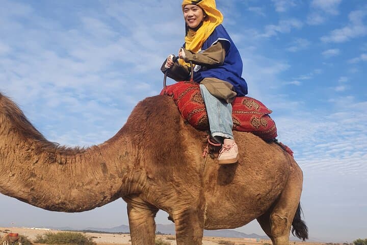 Sunset Camel Ride in Marrakech Palm Grove — Evening Camel Trek and Tea photo 2