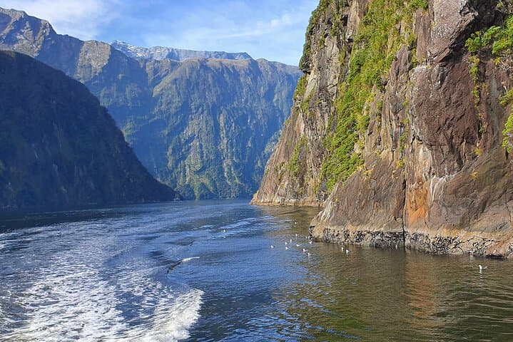 Four-Day South Island Scenic Tour: Milford Sound, Mount Cook & Lake Tekapo from Queenstown photo 6