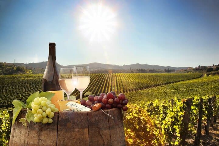 Winelands Day Trip: Small-Group Tastings in Stellenbosch, Franschhoek & Paarl photo 6