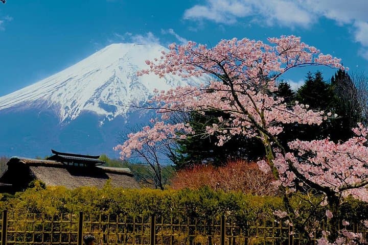 VIP Mt Fuji & Hakone Private Day Tour — Ashi Lake, Owakudani & 5th Station photo 2