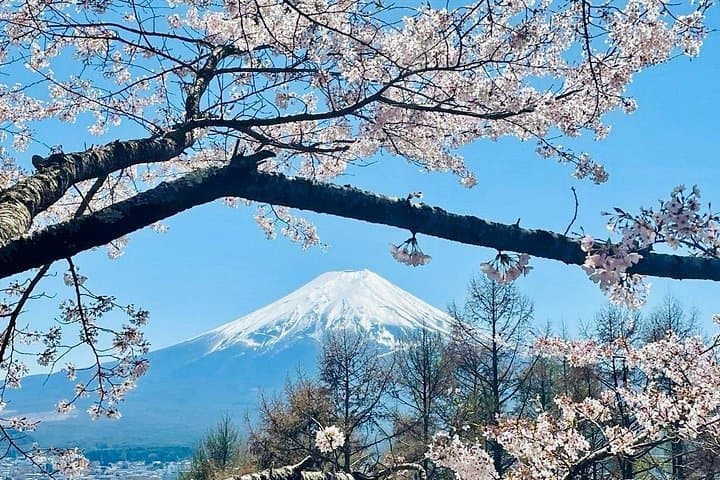 VIP Mt Fuji & Hakone Private Day Tour — Ashi Lake, Owakudani & 5th Station photo 3