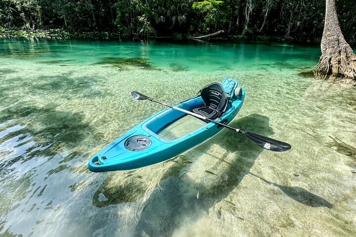 Silver Springs Glass-Bottom Kayak Tour — See Manatees, Monkeys & Underwater Ruins photo 2