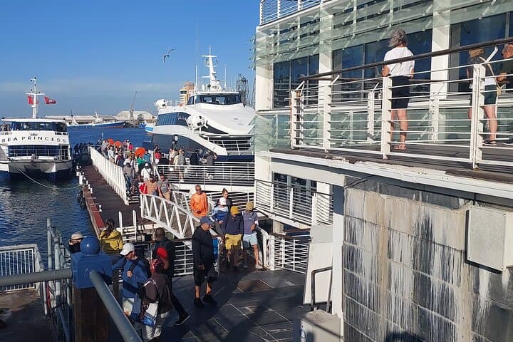 Robben Island Tour from Cape Town: Ferry, Prison History & Hotel Pickup photo 2