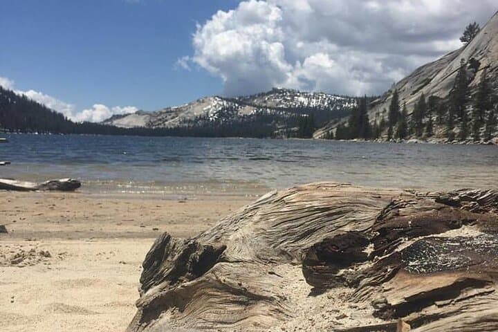 Yosemite High Country Adaptive Tour: Accessible Tioga Pass Scenic Drive & Photo Stops photo 3