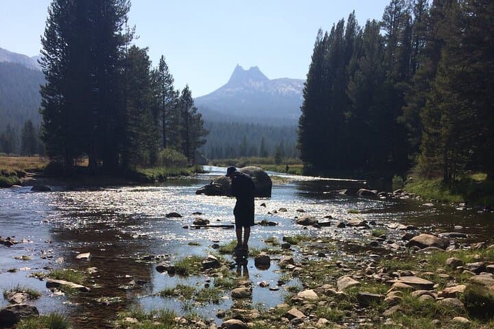 Yosemite High Country Adaptive Tour: Accessible Tioga Pass Scenic Drive & Photo Stops photo 5
