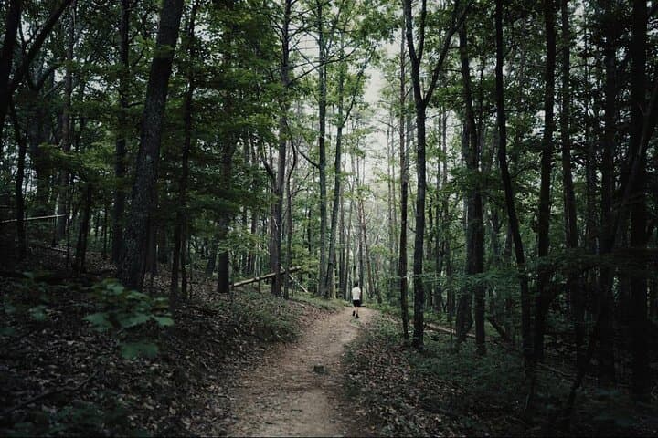 Kavala Fun Day: Horseback Rides, Chestnut Forest Walk & Ano Kefalari Village photo 4