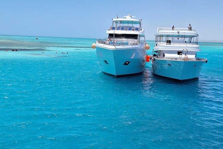 Snorkel Ras Mohammed & White Island: Day Trip from Sharm El Sheikh photo 4