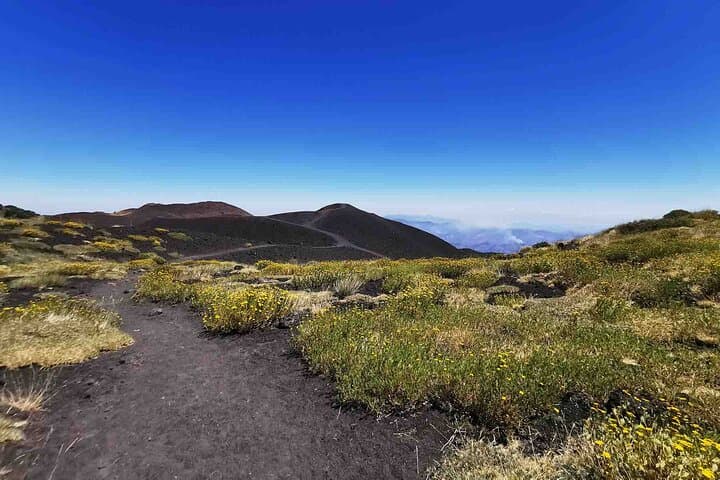 Etna Alcantara Tour: Explore Etna's Lava Fields and Alcantara Gorges