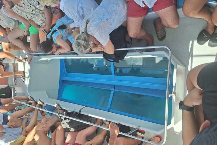 Zakynthos Turtle Spotting Cruise: Glass-Bottom Boat to Marathonisi & Keri Caves photo 2