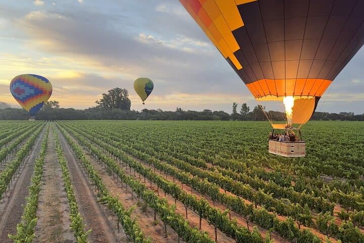 Dawn Ballooning Over Napa and Sonoma: Join-in Wine Country Flight photo 4