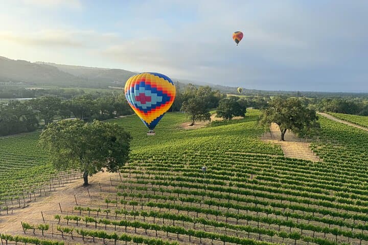 Dawn Ballooning Over Napa and Sonoma: Join-in Wine Country Flight