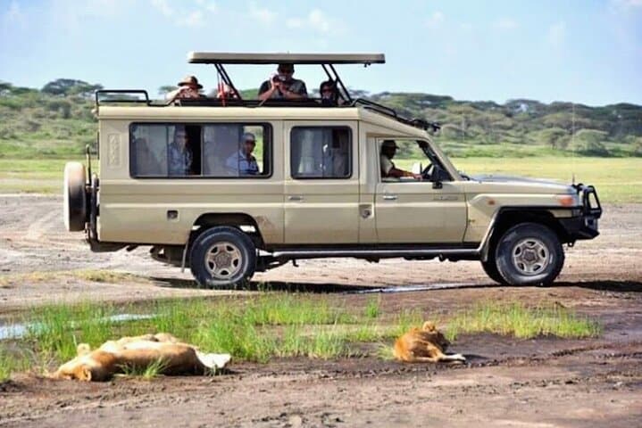 Golden Monkey Trek & Akagera Safari: 2-Day Volcanoes to Akagera Wildlife Adventure photo 5