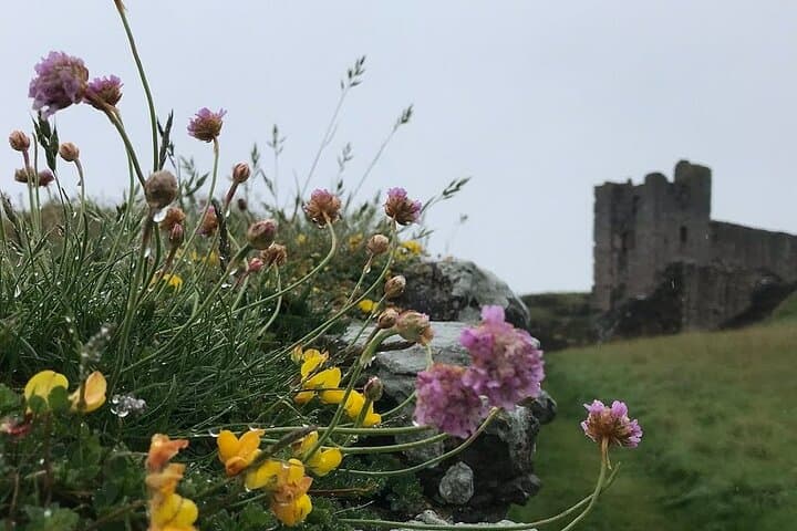 Coasts & Ghosts: Haunted Northumberland Day Trip from Edinburgh