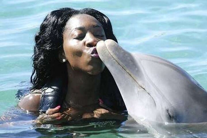 Private Mystic Mountain and Dolphin Cove Excursion from Montego Bay photo 3