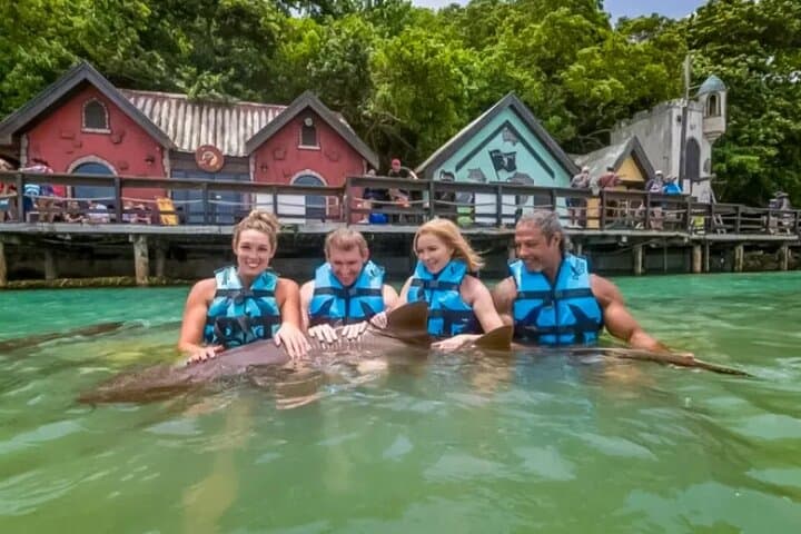 Private Mystic Mountain and Dolphin Cove Excursion from Montego Bay
