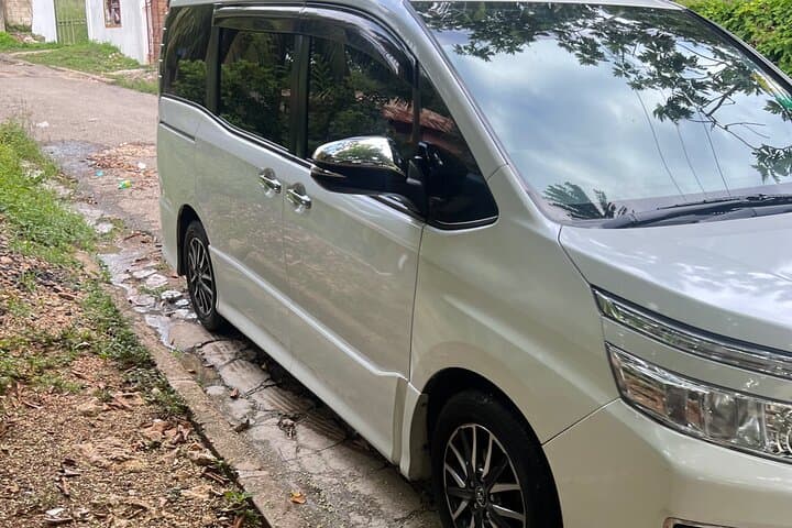 Montego Bay to Dunn's River Falls & Blue Hole: Private Transfer and Day-Trip Adventure