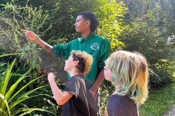 Cairns to Atherton Tablelands: Aboriginal Cultural Discovery Tour photo 4