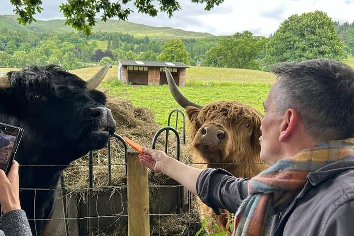 Highland Lochs & Highland Cows: Private Day Tour from Edinburgh photo 2