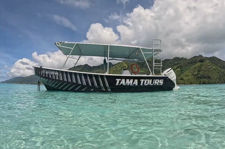 Moorea Private Lagoon Snorkeling: Stingrays, Sharks & Sea Turtles photo 5