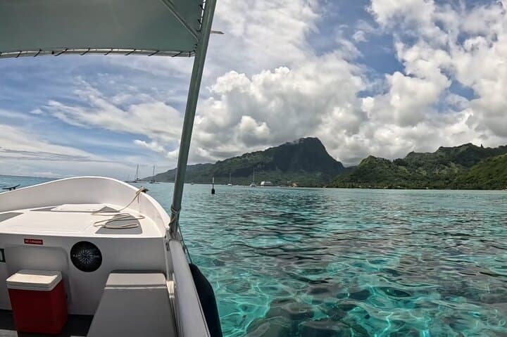 Moorea Private Lagoon Snorkeling: Stingrays, Sharks & Sea Turtles