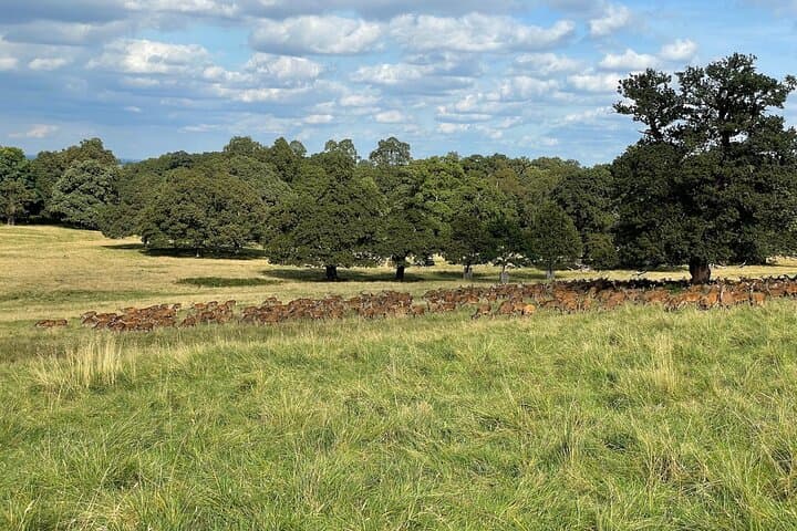 Royal Windsor Self-Guided Walking Tour with App — Windsor & Eton Highlights photo 4