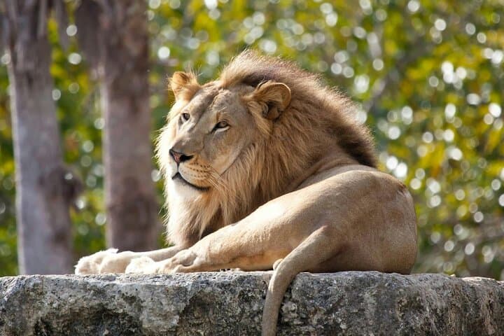 Paphos Zoo & Blue Lagoon Cruise with Local Guide — Day Tour from Paphos photo 2