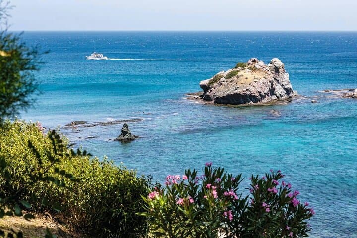 Paphos Zoo & Blue Lagoon Cruise with Local Guide — Day Tour from Paphos photo 4